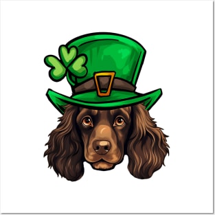 Funny St Patricks Day Boykin Spaniel Posters and Art